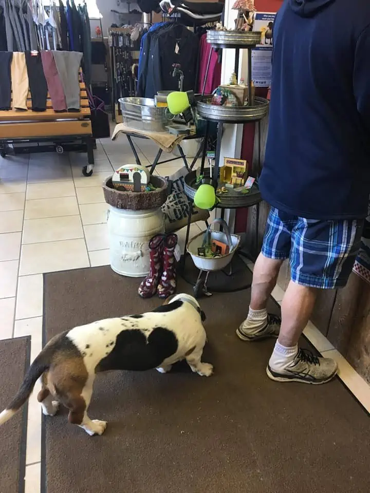 A man standing next to a dog