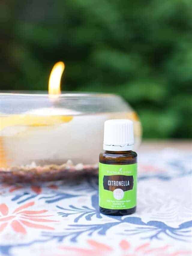 DIY Floating Citronella Candle Story Saving Dollars and Sense