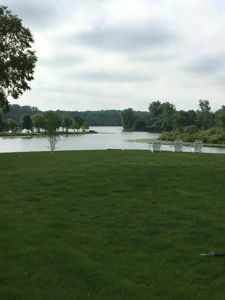 A large body of water with grass and trees