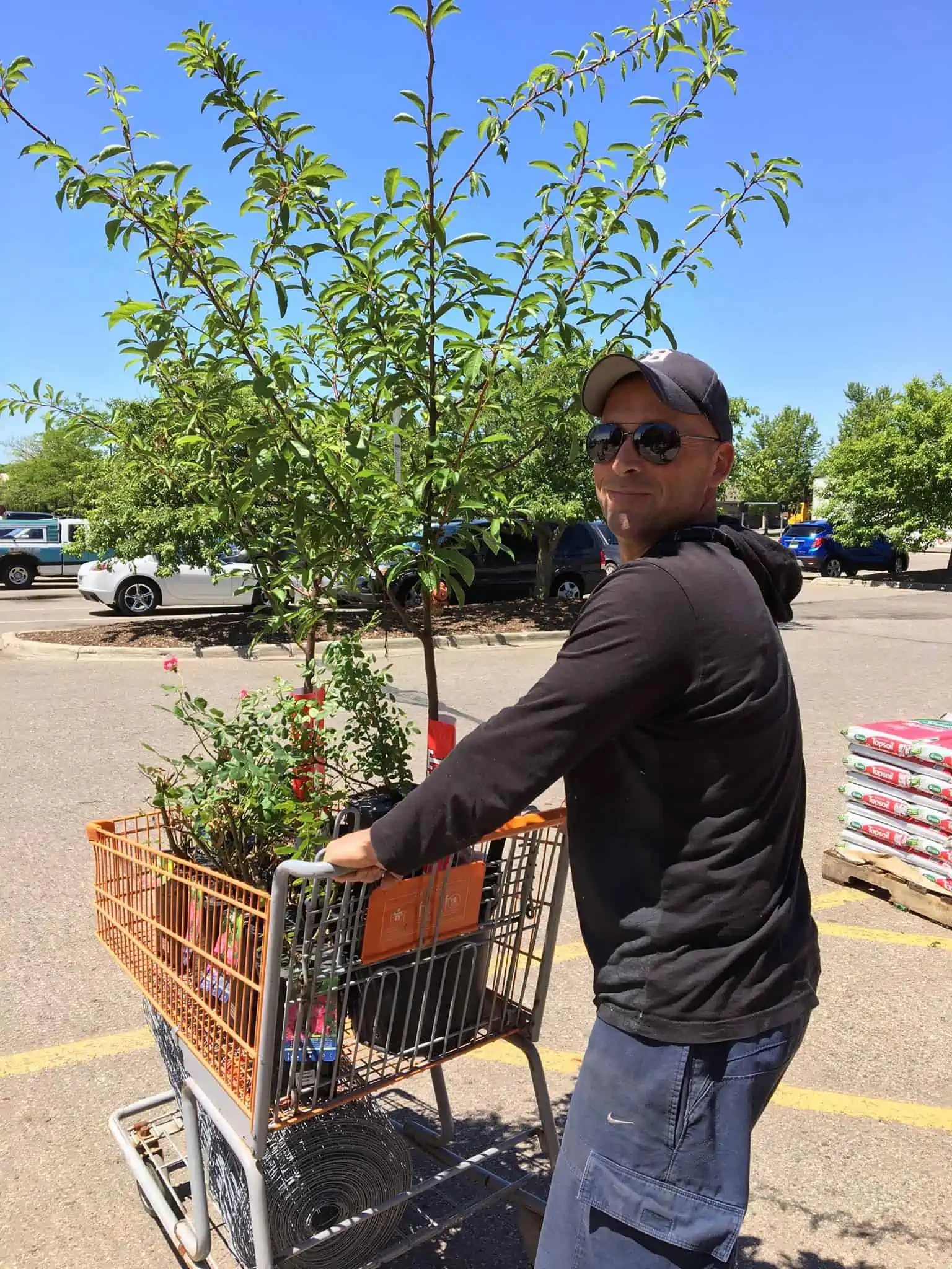 A man with a grocery cart of plants.