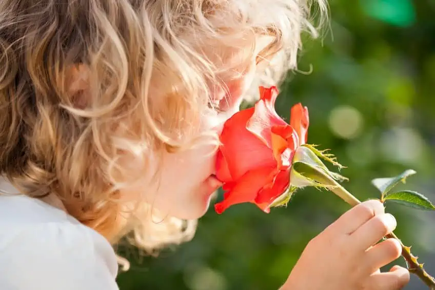 Little girl smelling beautiful flower.