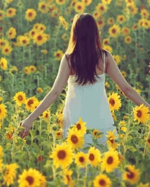 a woman in a white sundress standing in a field of sunflowers