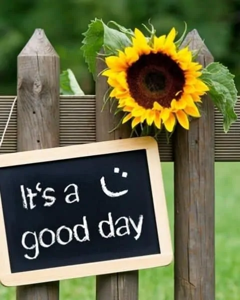 A chalkboard sign that says It's a Good Day hanging on a wooden fence near a sunflower