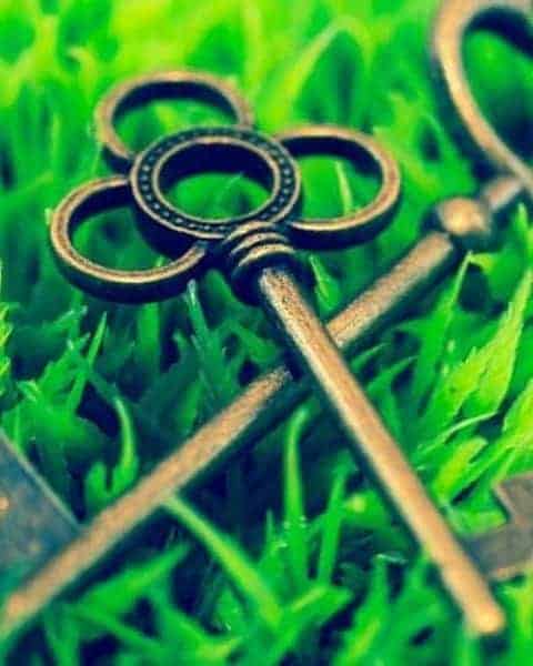 The Connection Between Doing Stuff And Happiness