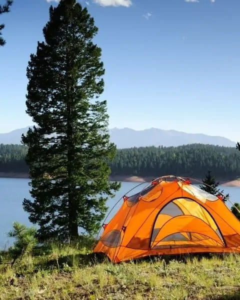 orange tent set up for camping near a lake and a tree