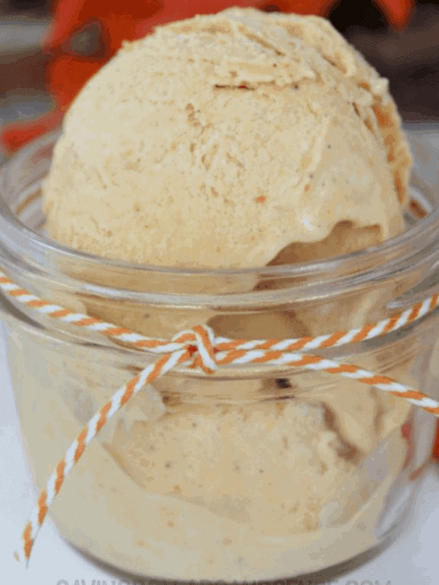 No Churn Pumpkin Pie Ice Cream