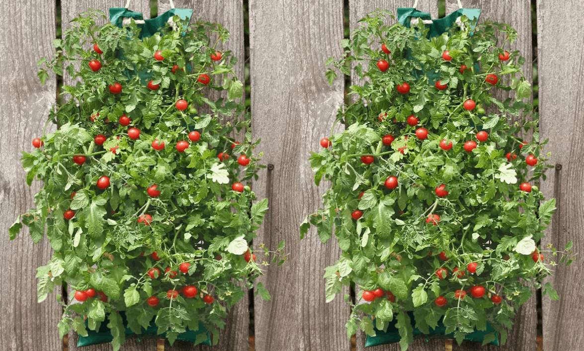 Organic Indoor/Outdoor Vegetable Hanging Garden $9.99 - Saving Dollars