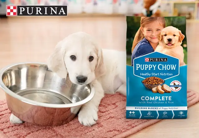 Free Purina Puppy Chow