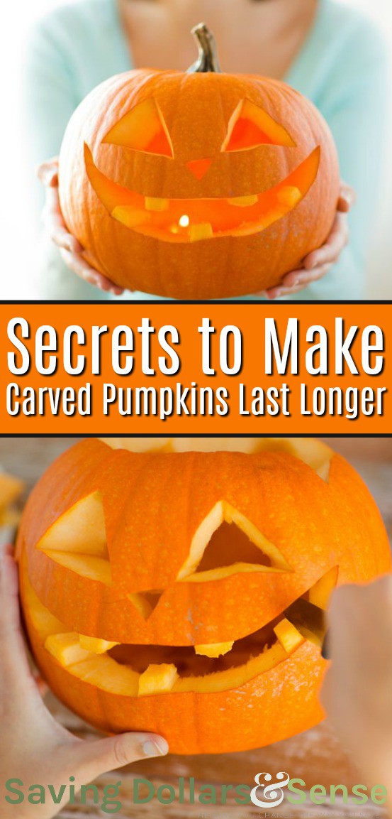 How to Make a Pumpkin Last Longer - Saving Dollars & Sense