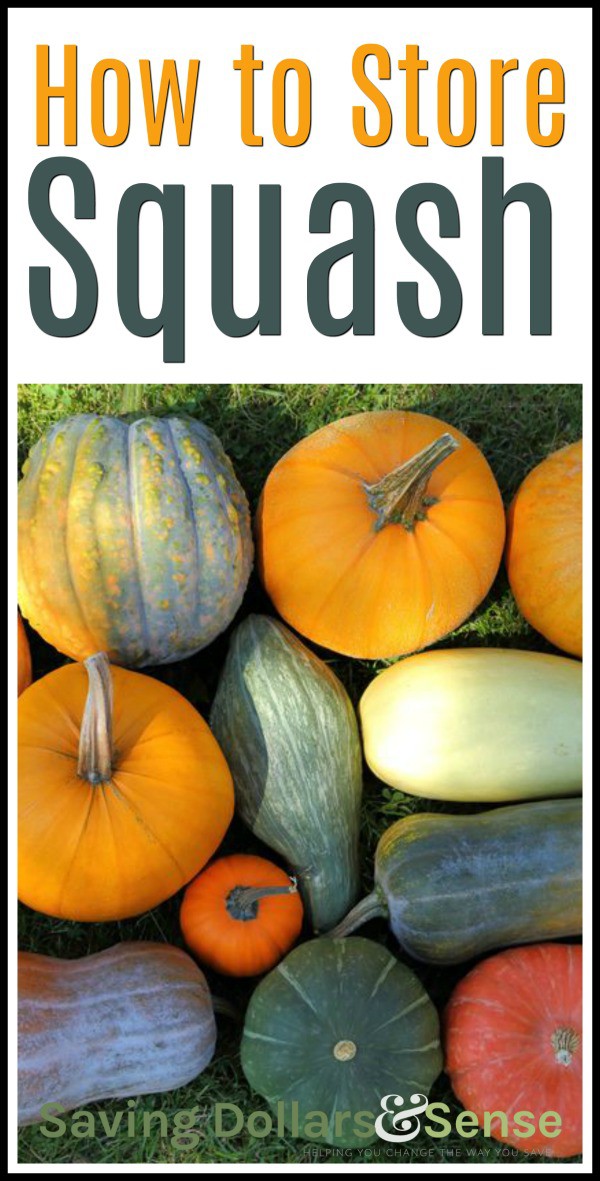 How to Store Different Types of Squash