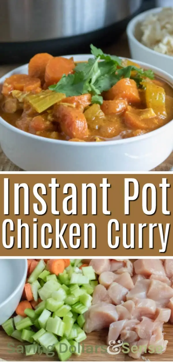 Instant Pot Curry Chicken and Vegetables
