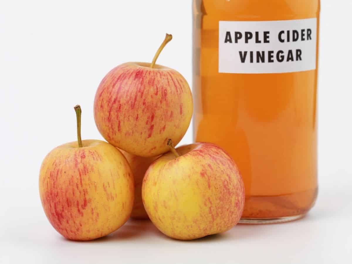 Apple Cider Vinegar Uses and Benefits Saving Dollars & Sense