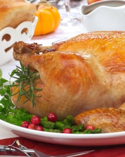 How Long to Thaw a Turkey for Thanksgiving