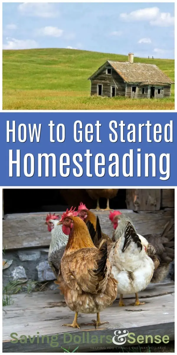 How to get started homesteading.