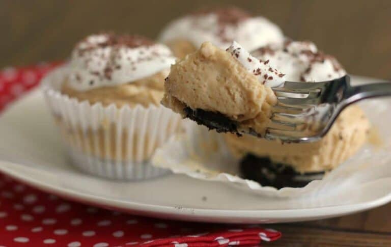 Mini Peanut Butter Cheesecake Bites Recipe 