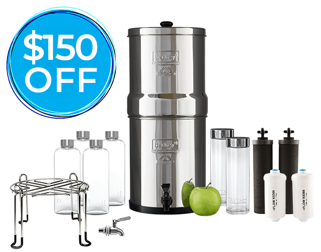 2019 Berkey Black Friday Sale Saving Dollars & Sense
