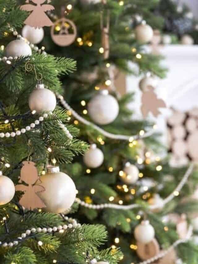 How to Make Christmas Trees Last Longer Story