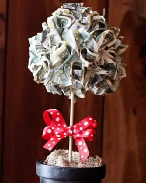 A money tree with a red ribbon.
