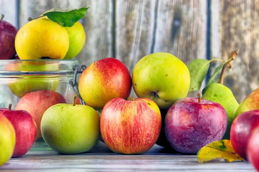 A bushel of apples of different varieties and shapes.