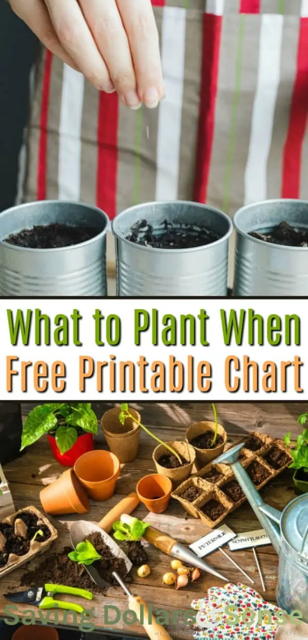 What to plant and when, including a free printable chart.