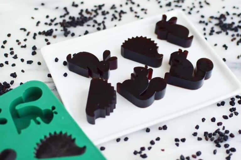 Easy Homemade Elderberry Gummies