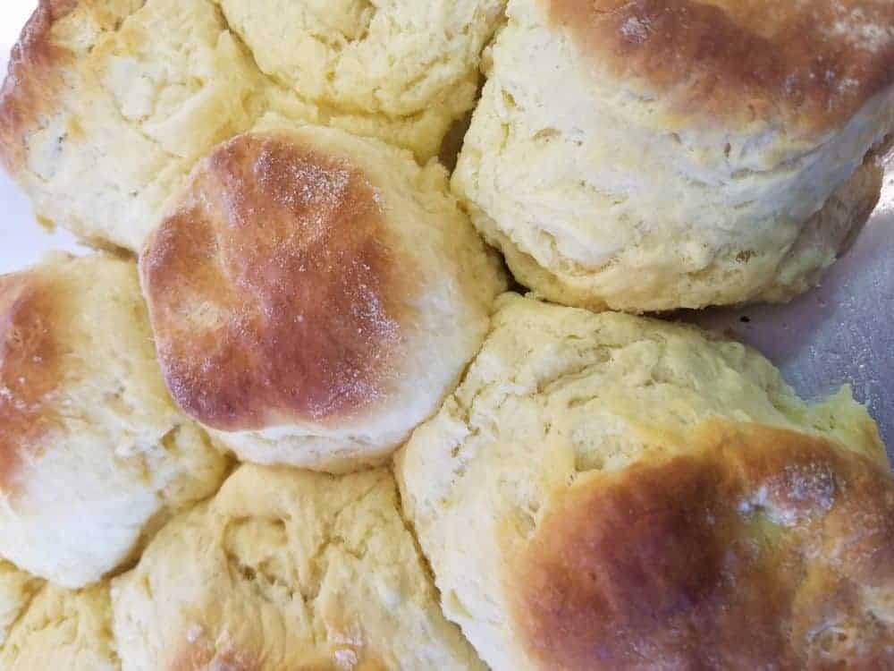 easy homemade buttermilk biscuits
