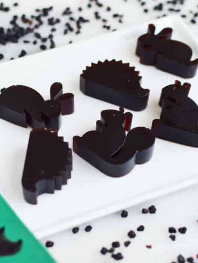 Delicious Homemade Elderberry Gummies Story