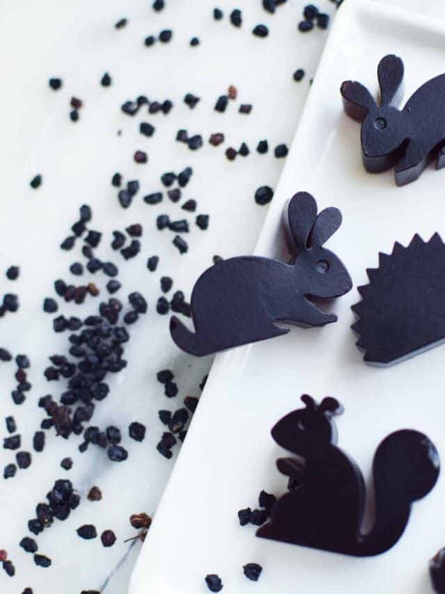 Elderberry Gummies Story
