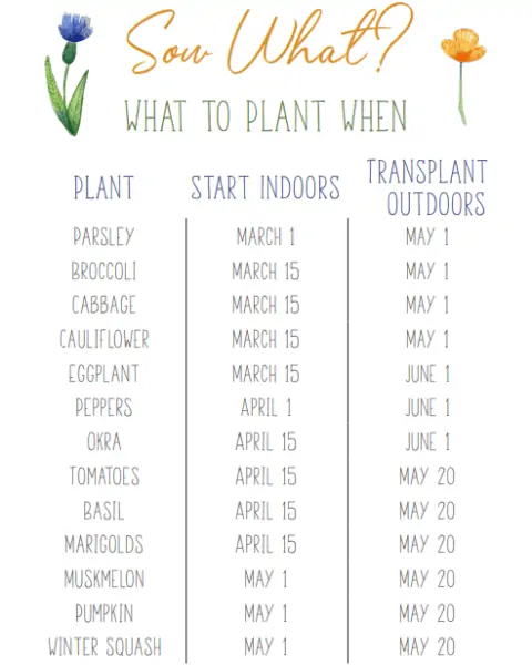 Informational sheet with spring planting timeframes.