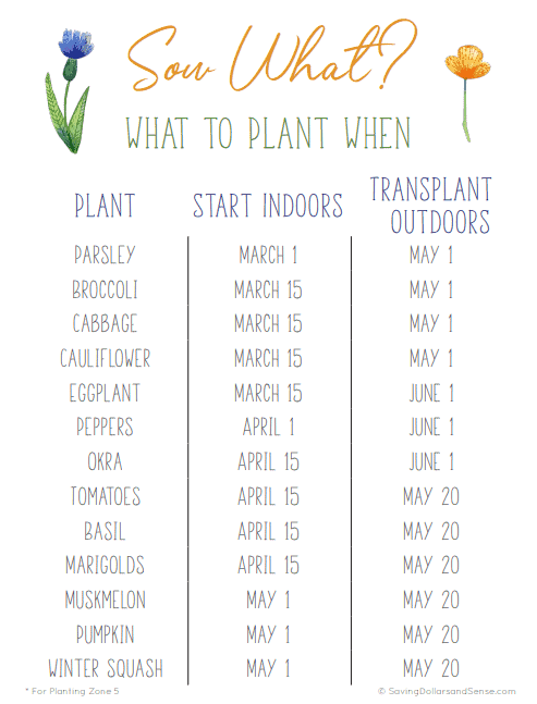 What to plant when timeframe and free printable.
