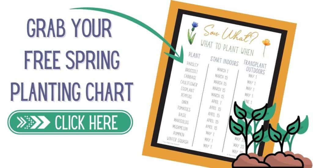 Free spring planting chart of when to plan your garden.