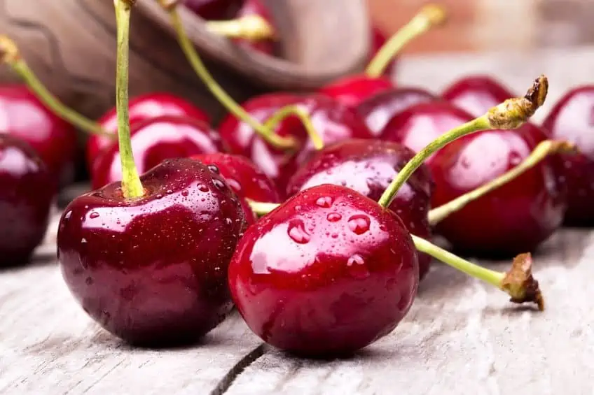 how to grow cherries