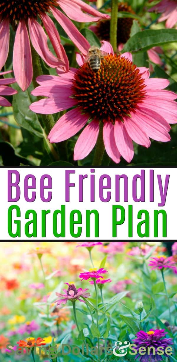 bee friendly garden planner