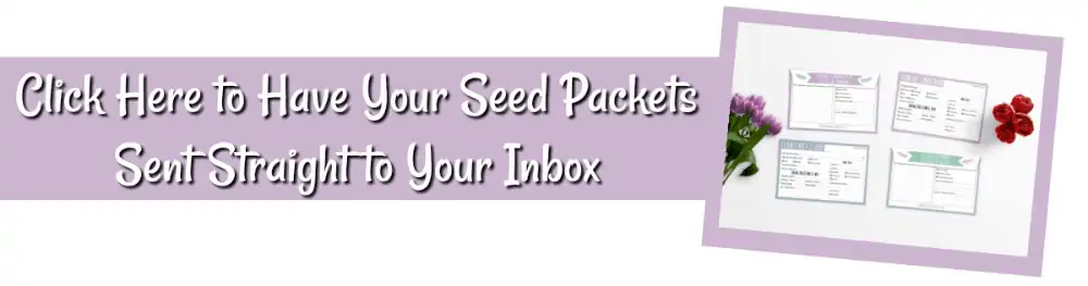 printable seed storage packet