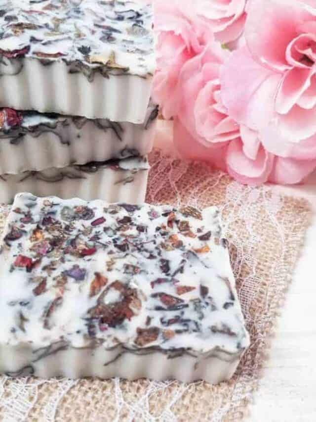 Botanical Goat Milk Handmade Soap Story Saving Dollars and Sense
