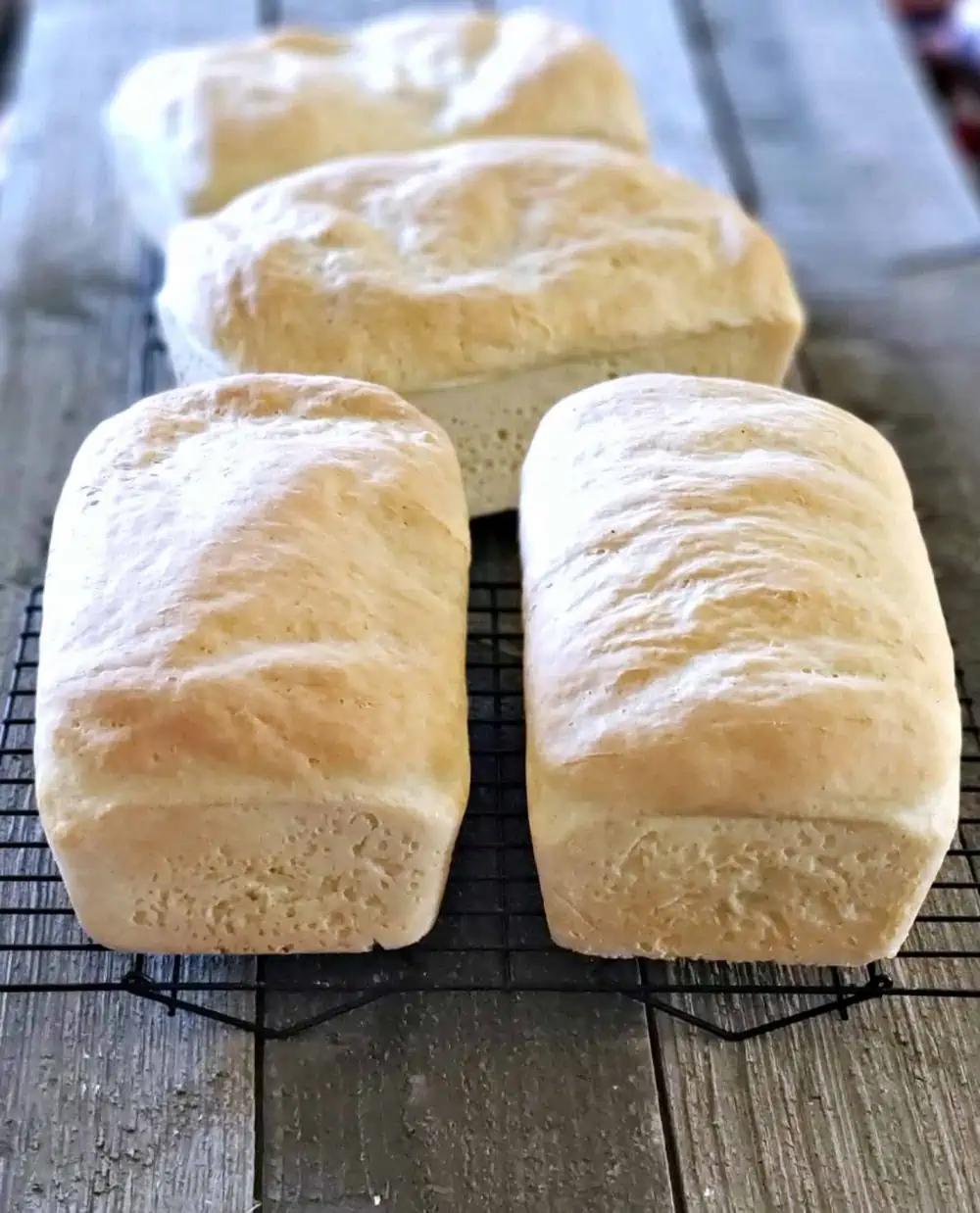 The Best Homemade Bread Recipe
