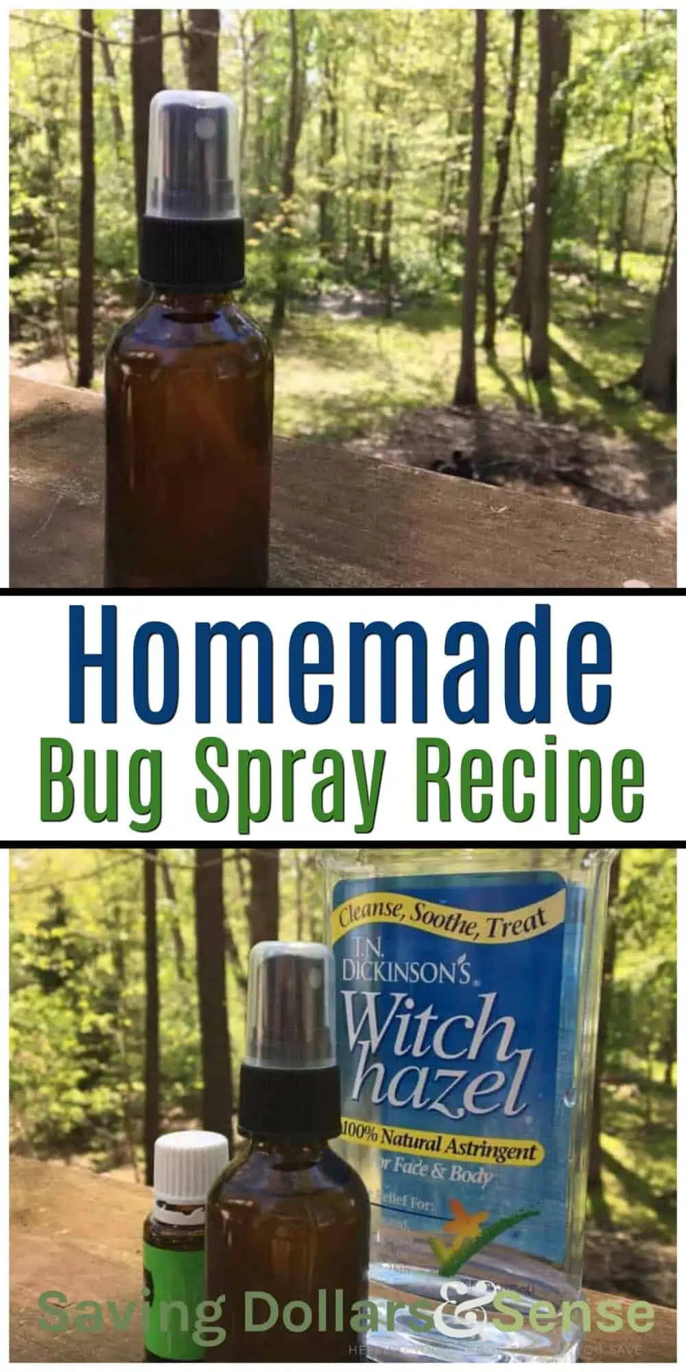 Homemade bug spray recipe.