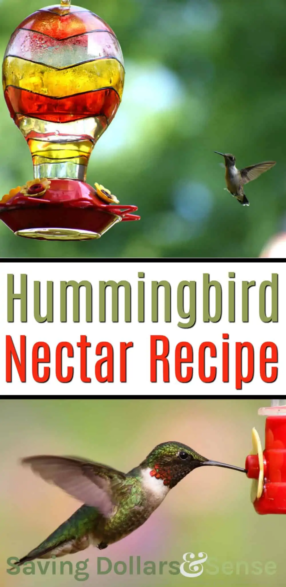 how to make your own hummingbird nectar
