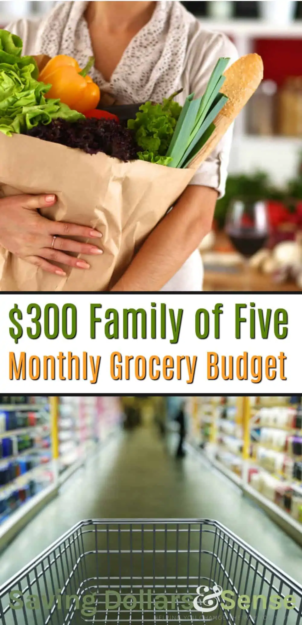 how to save money on groceries. $300 Monthly Budget Meal Planning