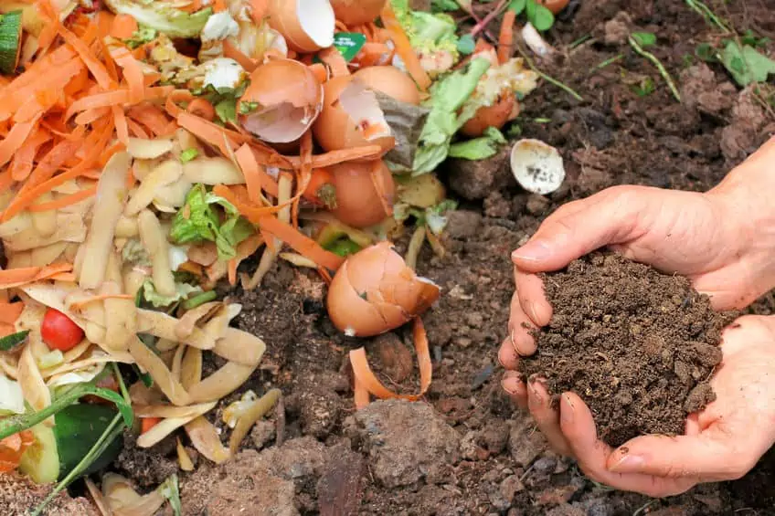How to start a compost from your home.