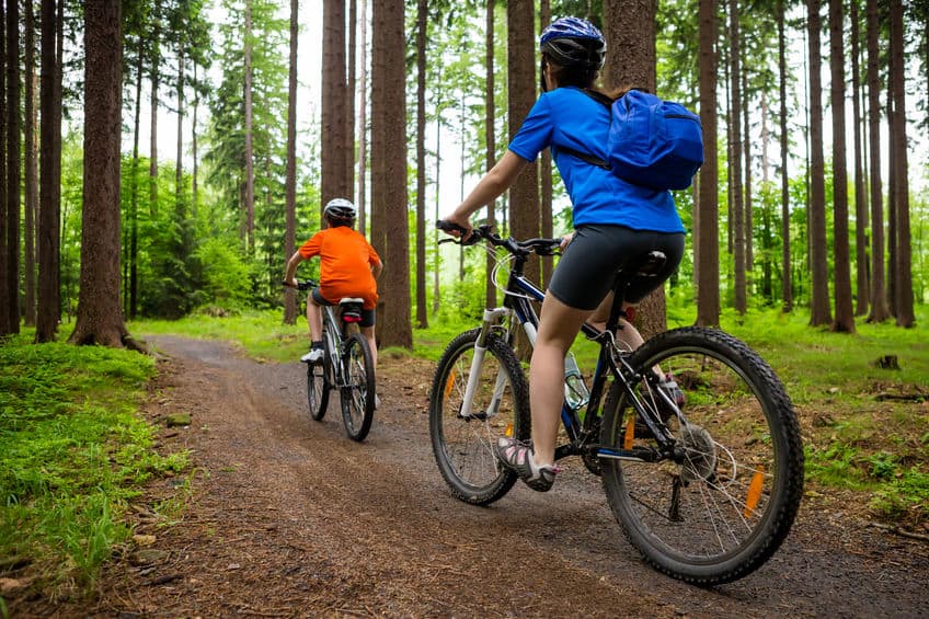 A family going biking in the woods for summer fun.