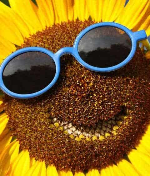 Summer Safety Tips You Don't Want To Miss