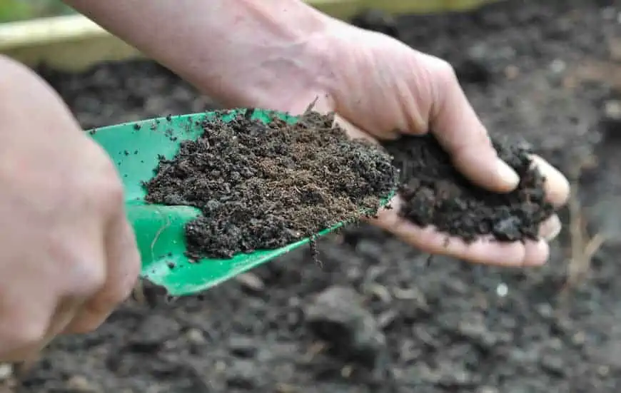 a person with a green hand shovel, using it in the dirt in a garden.