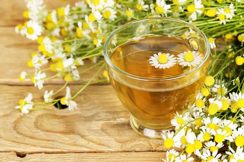 Chamomile homemade tea.