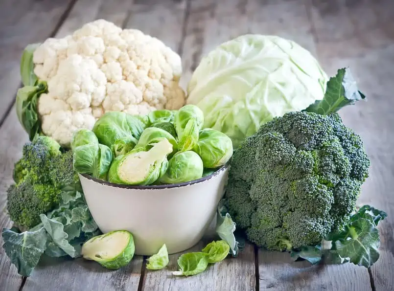 Fresh, garden vegetables for cauliflower, cabbage, Brussels sprouts, and broccoli. 