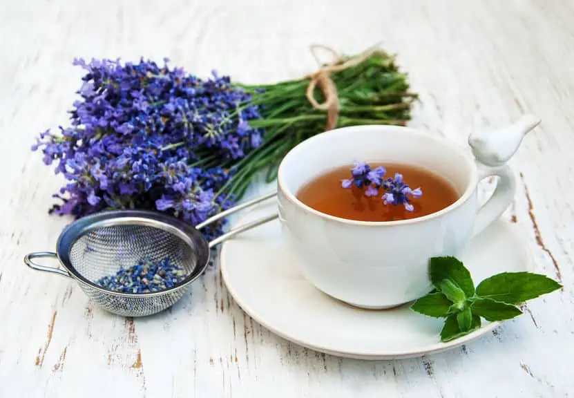 Homemade lavender herbal tea.