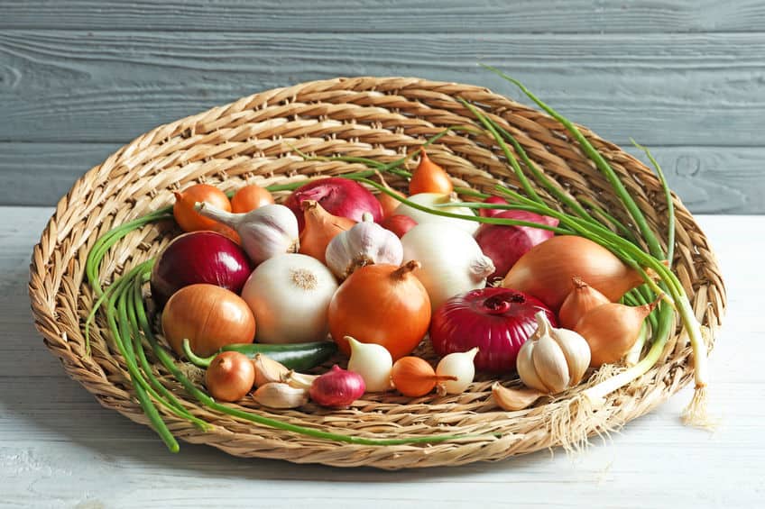 What Plants You Should Not Grow Together?