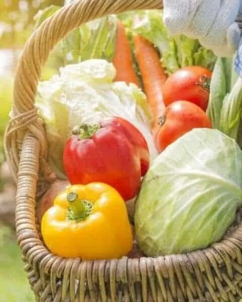 wicker basket filled with tomatoes, peppers, cabbage and carrots