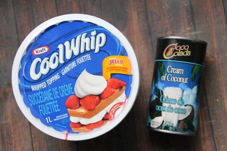 Dairy Free Coconut Ice Cream Saving Dollars & Sense