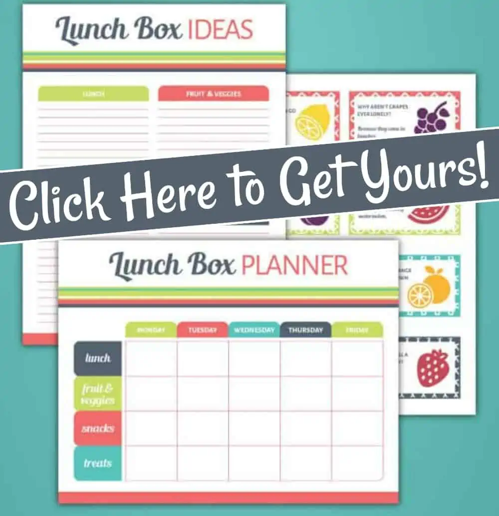 printable school lunch planner